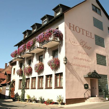 Hotel Ebner 巴特柯尼希斯霍芬 外观 照片